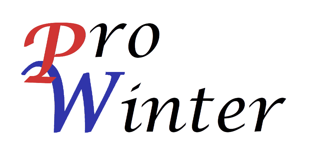 Website Logo